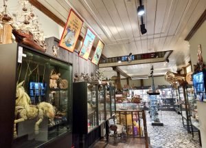 Balat Oyuncak Müzesi